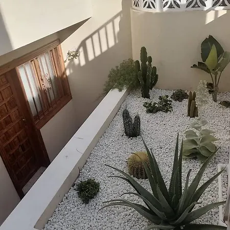 Casa Pencas De Margarita Los Realejos