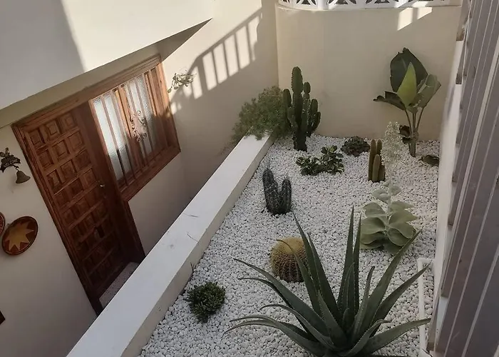 Casa Pencas De Margarita Los Realejos